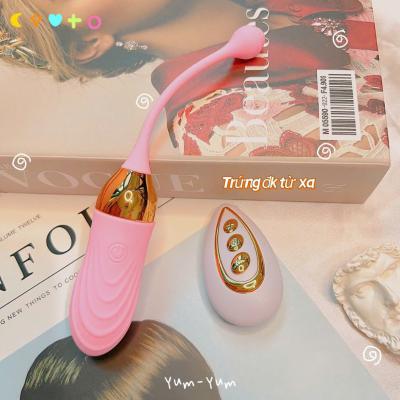 Phân phối Trứng rung không dây Luminous 10 chế độ điều khiển từ xa sạc usb